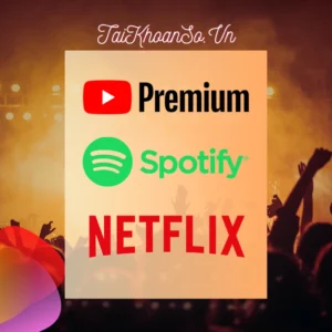 Youtube Premium, Spotify, Netflix