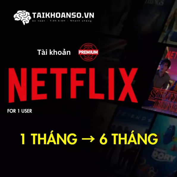 Tài khoản Netflix Premium cho 1 User